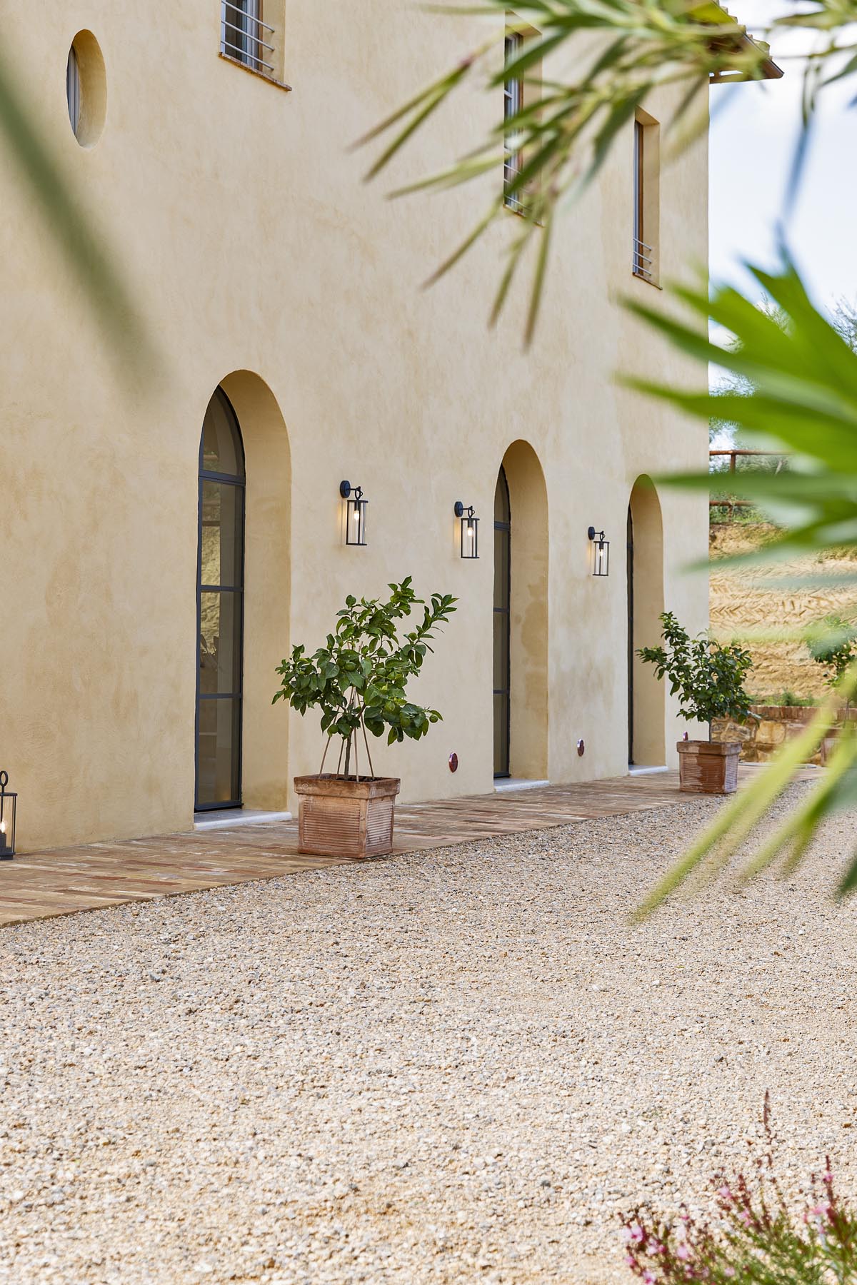 Gli oliveti di Villa Mami